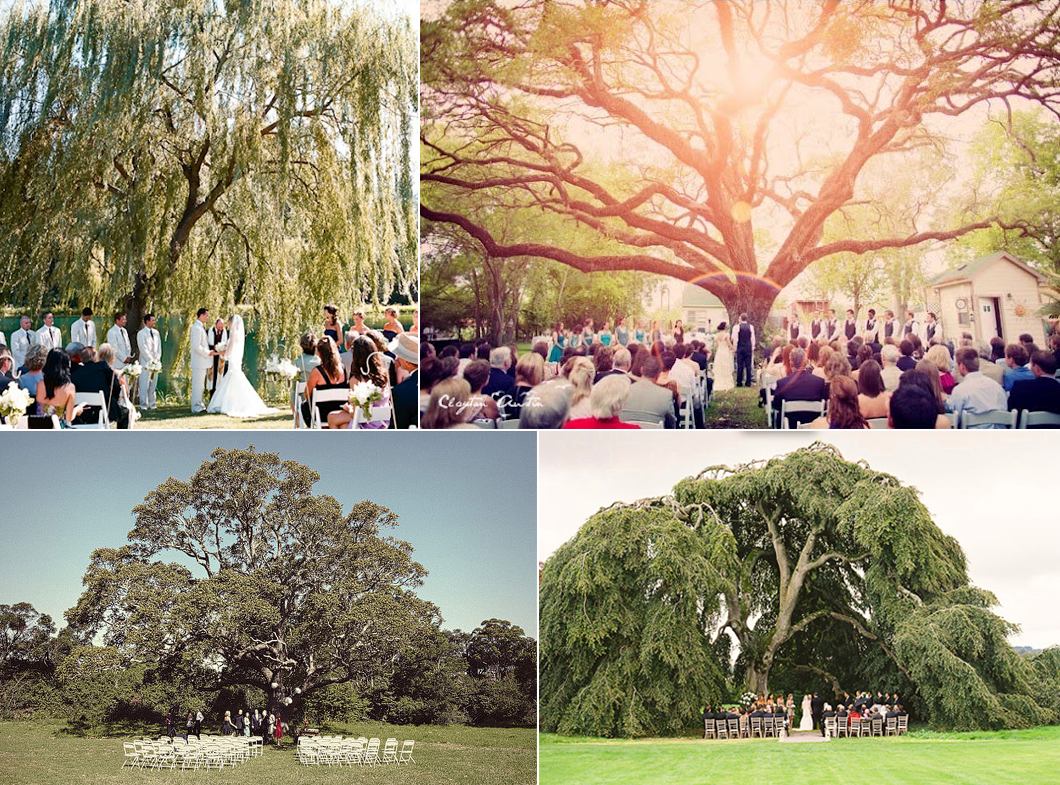 wedding under tree from Jonas Peterson via 100 layer cake
