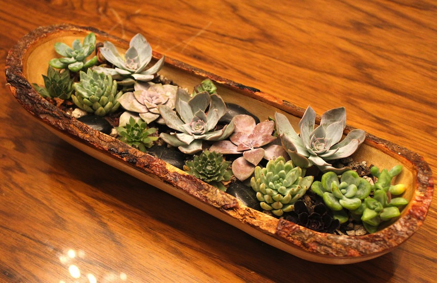 simple wedding centerpieces for a handcrafted wedding succulents in