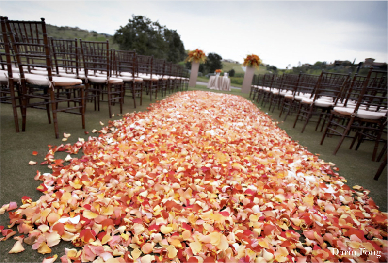 rose petal aisle runner for outdoor ceremonies unique wedding flower