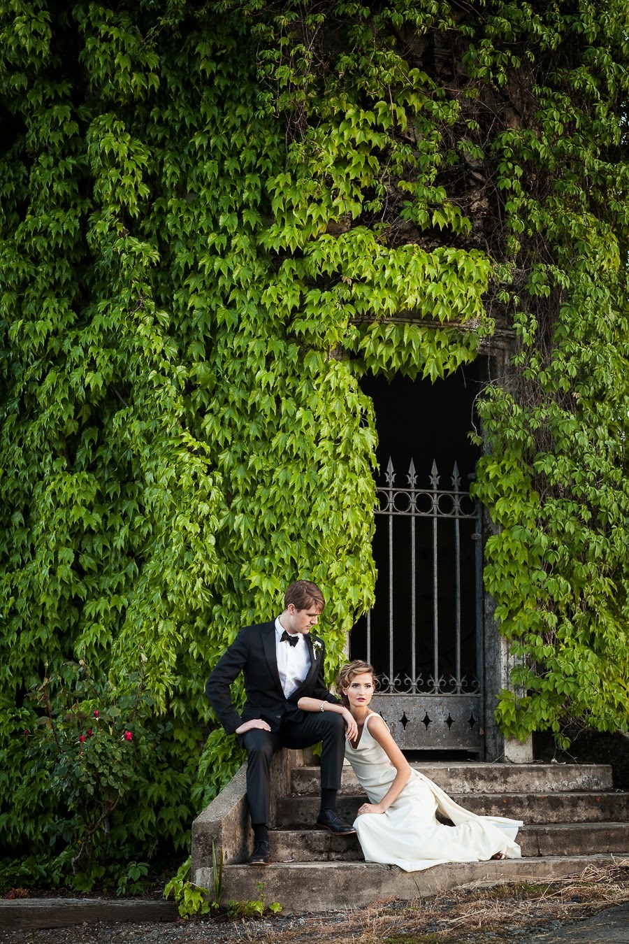 Stunning Vines as Backdrop