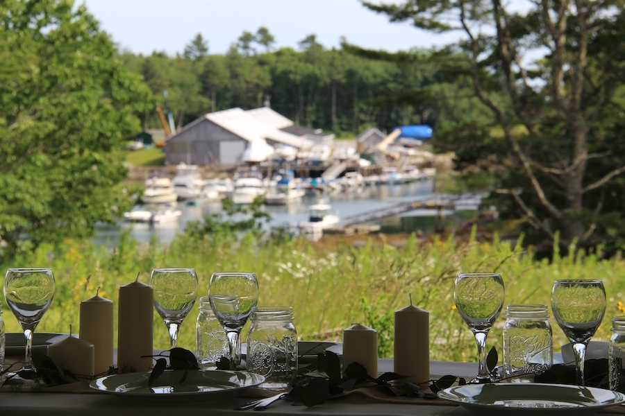 View of Wild Flower Meadow and West Harbor Cove from the Farmhouse Lawn