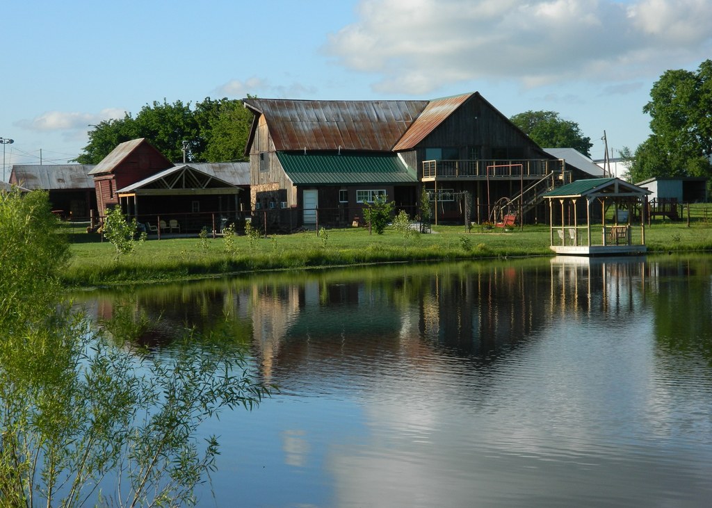 Looking northeast from the southwest side of the ranch pond. At the