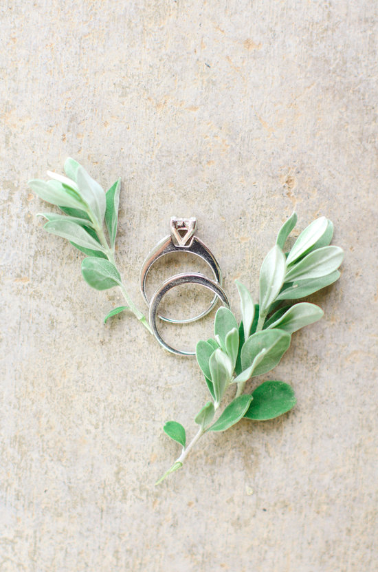 Wedding rings photo shoot