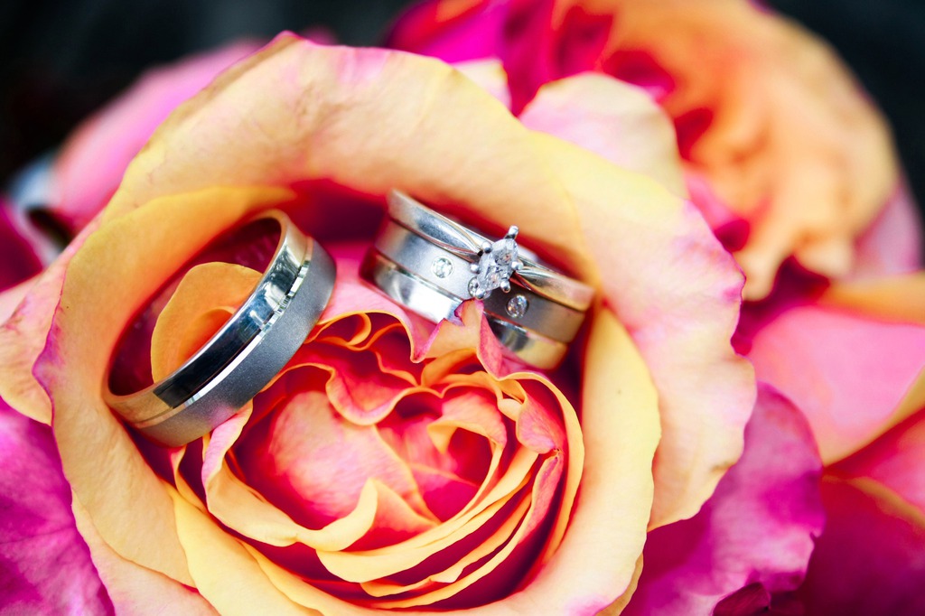 Wedding Rings Photo shoot