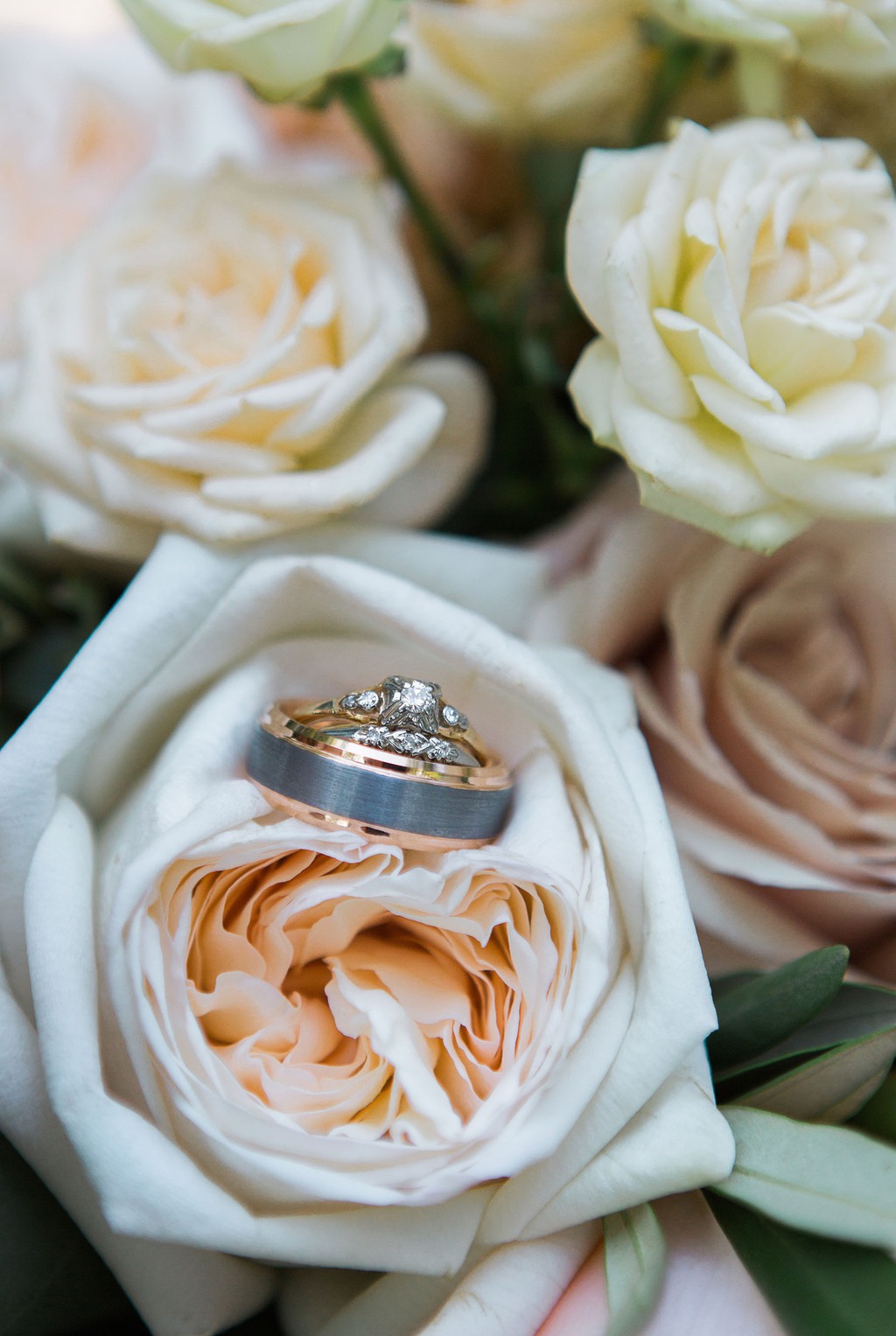 Wedding rings photo shoot