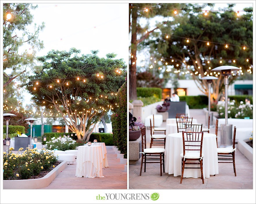 cocktail hour in the rose garden