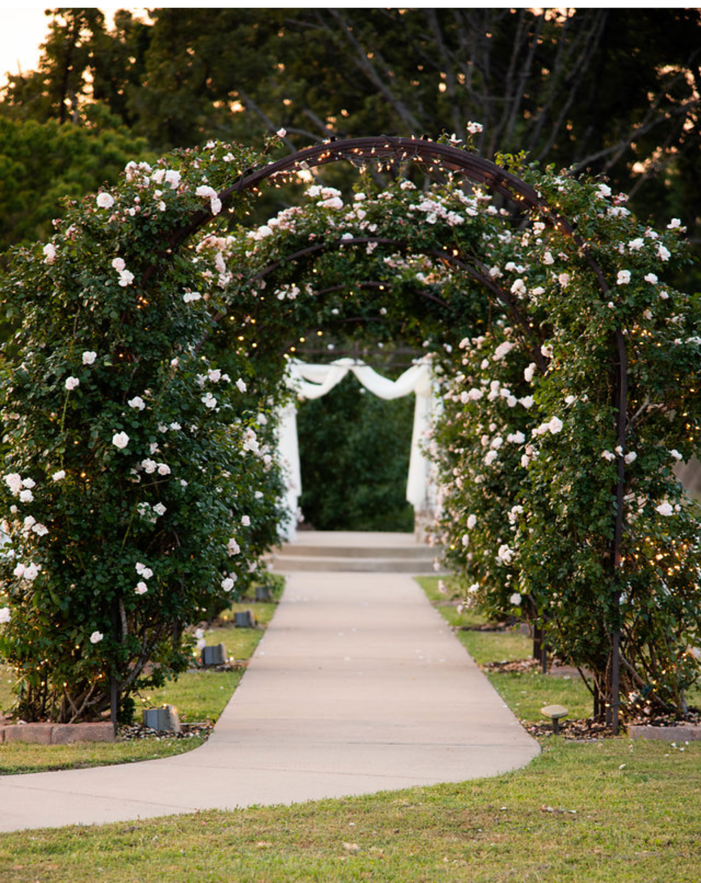 Rose Covered Arbors