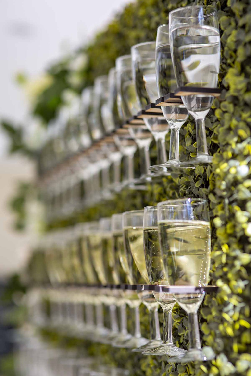 Prosecco Wall