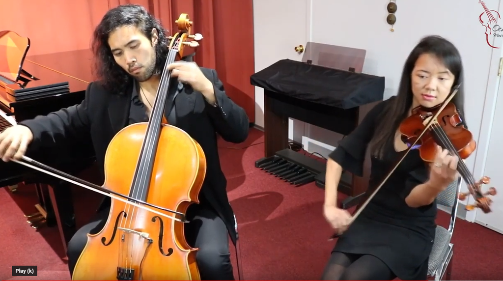 Cello and Violin Duo