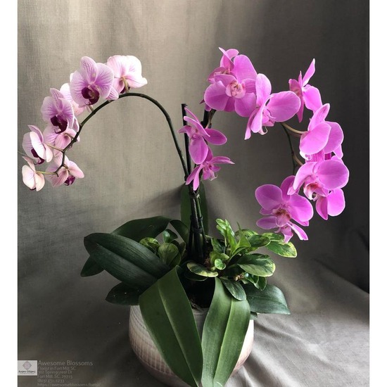 birthday flowers fort mill sc