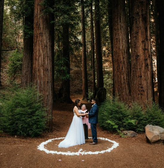 Wedding Ceremony. Waterfall Lodge, Ben Lomond, CA