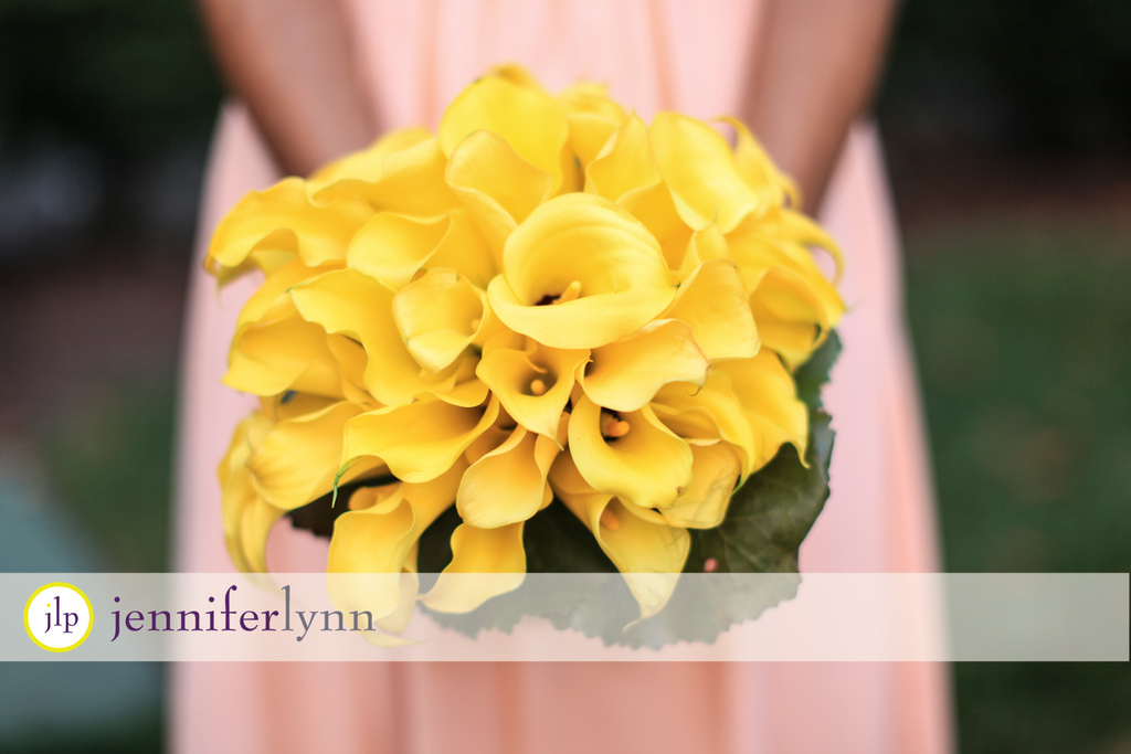 Jennifer Lynn Photography