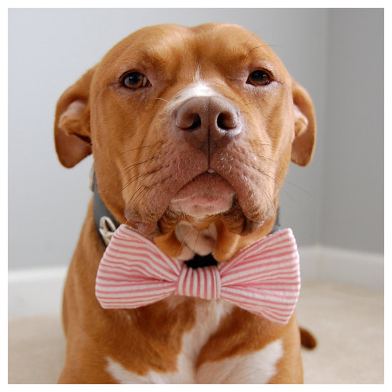 adorable wedding attire accessories for the little ones in the wedding