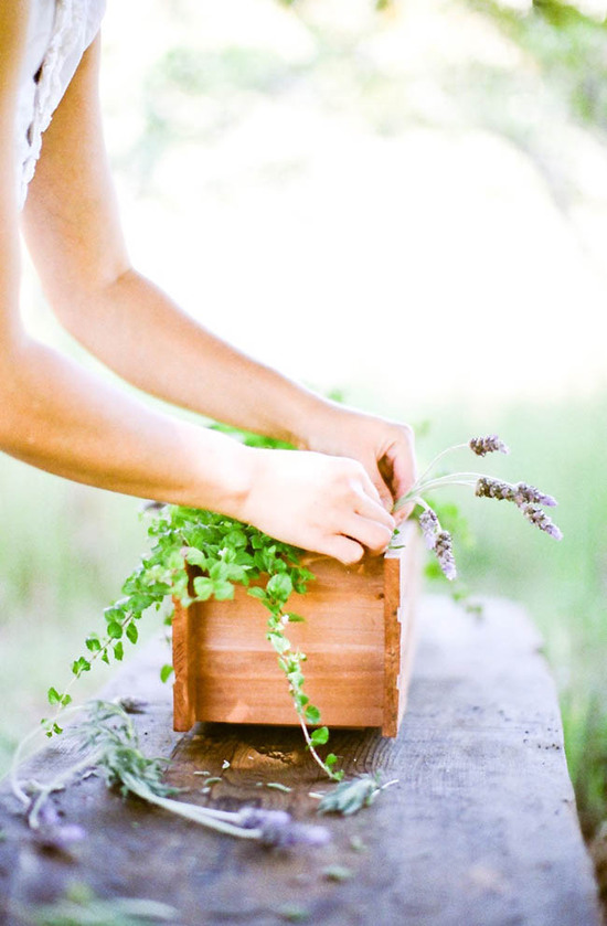 Herb Garden Wedding Centerpieces
